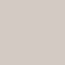 agreeable gray neutral paint